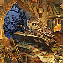A Wise Old Owl