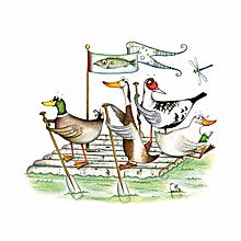 A Raft of Ducks