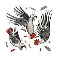 A Pandemonium of African Greys