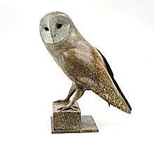 Barn Owl