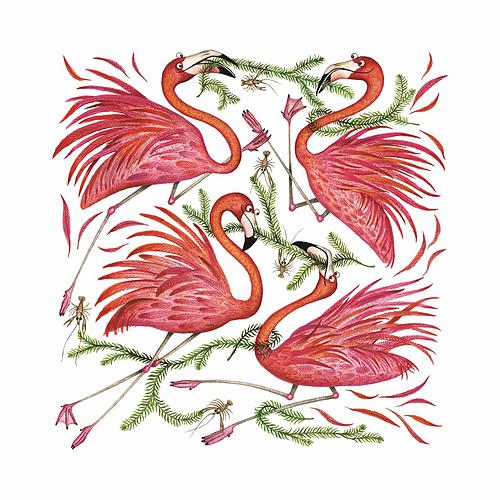 A Flamboyance of Flamingos