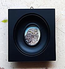 Little Owl Miniature