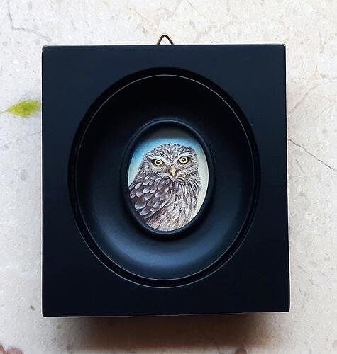 Little Owl Miniature