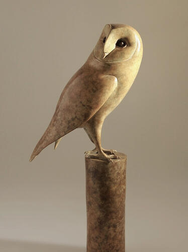 Barn Owl perched on pillar