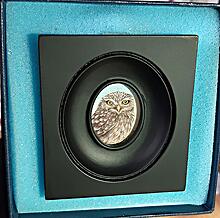 Little Owl Miniature
