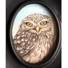 Little Owl Miniature