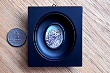 Little Owl Miniature