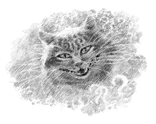 The Cheshire Cat