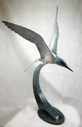 Roseate Tern