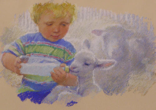 Little Farmer Joe - Feeding the Lambs