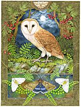 Moths and Moonlight